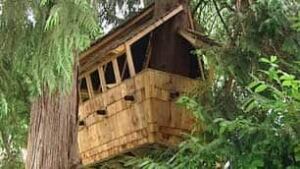 bc-080718-treehouse1