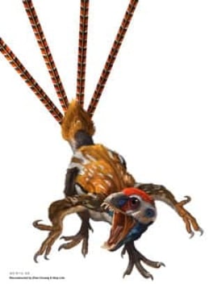 epidexipteryx-nature