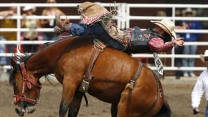 calgary-stampede-070408_584