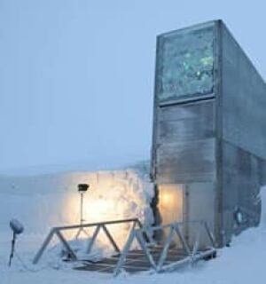 inside-seed-vault