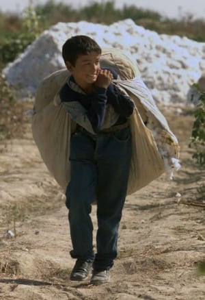 uzbekistan-cotton-cp-RTR4HAX