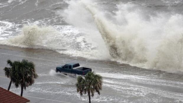 full-galvestonike-cp-550167