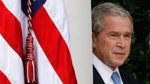 bush-cp-584-5798689