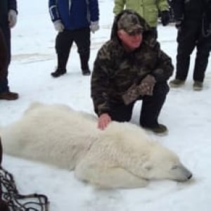 nl-polar-bear-20080330