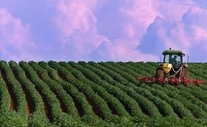 f-potato-tractor306-cp