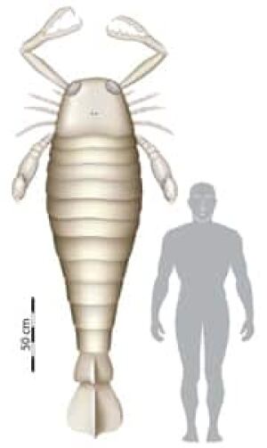giantscorpion_cp_185155