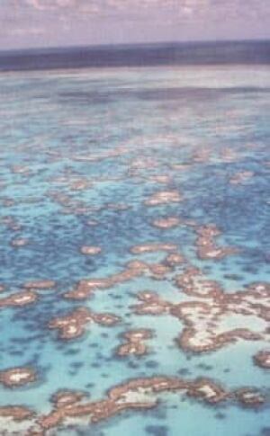 great-barrier-reef-cp-5495121
