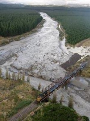 new-zealand-mud-cp-2671363