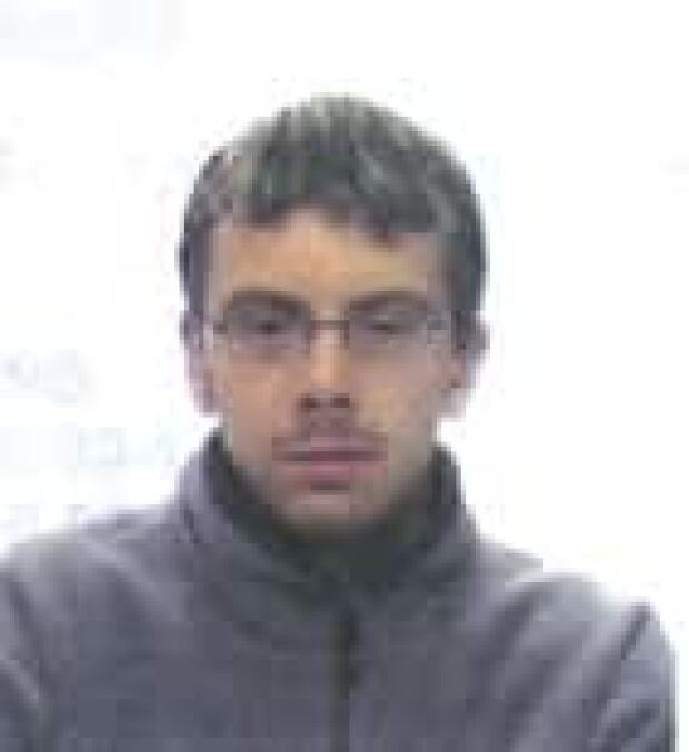 Hightech crook gets 8 years for string of thefts, frauds CBC News