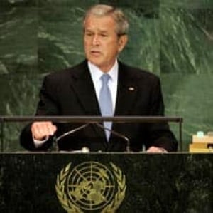bush-cp-3642012