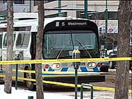 canadian bus driver stabbed to death canadian bus driver stabbed to death