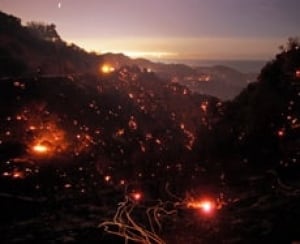 calif-fire-cp-3786016