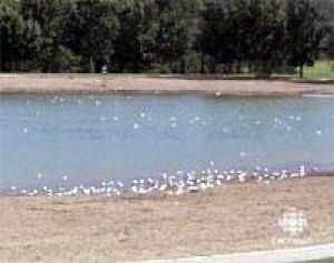 ab-lake-sikome