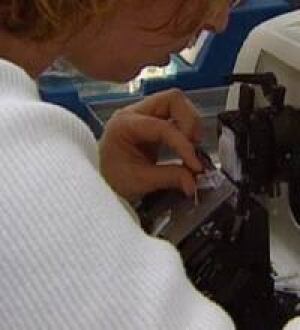 nl-pathologist-stjohns-file