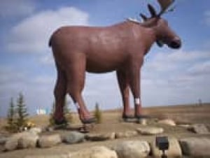 moose-mac070727
