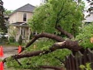 top-ab-tree