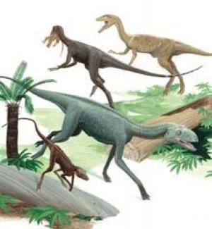 dinos-illus--cp-3316391