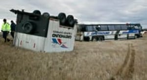 alta-bus-cp-144705