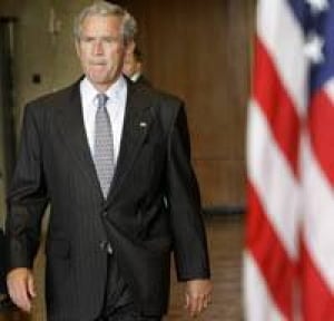 bush-cp-134331
