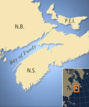 bayoffundy