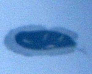 north-nwt-belugas071031