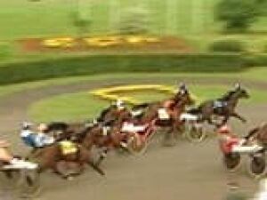 pe-harnessrace