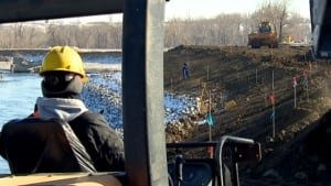 Riverbank stabilizing