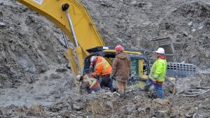 Sinking excavator