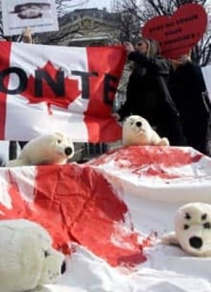 canada-seals-cp-093038