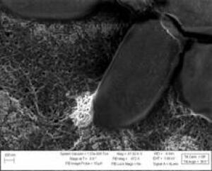 bateria-nanotubes2