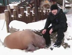 smooshi-phil-070218