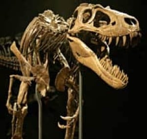 jane-dinosaur-cp-8117049