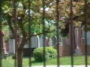 mtl-cemeterypic