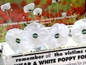 ab-white-poppies