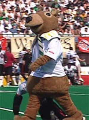 gainer-gopher061031
