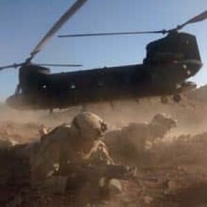 chinook-cp-10309454