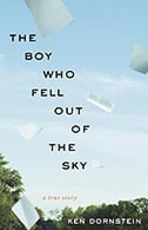 BoyWhoFell3