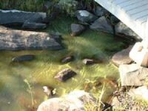 lakemicmac