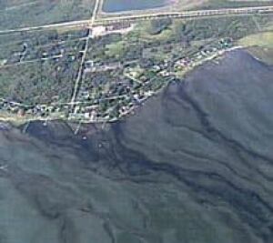 wabamun_aerial050810