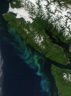 bc-coast-plankton-nasa