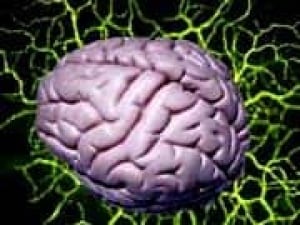 brain_neuronsrc030923
