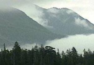 clayoquot-060802