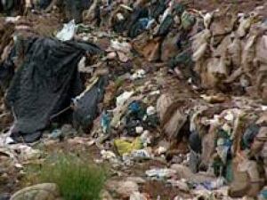 nb-trash2