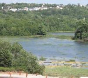 grassy-brook-lake-micmac