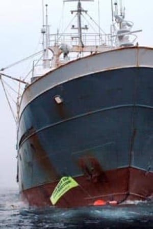 bottom-trawler-cp-1912571