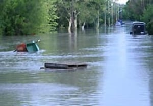 elbowpark_ab_flooding050619