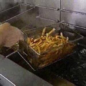 fries_transfat041101
