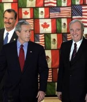 bushmartinfox_cp_7335554