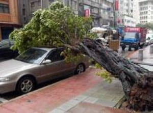 taiwan_storm_cp_8079755