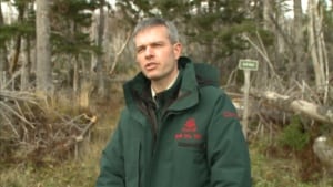 nl tom knight parks canada gros morne 20131105